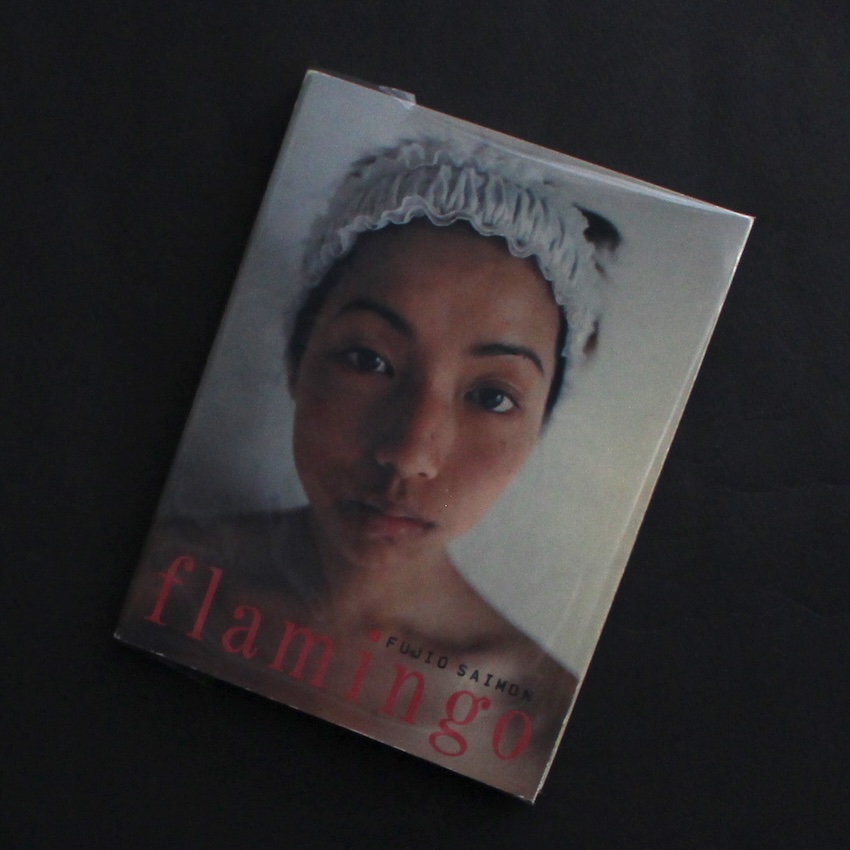 斎門　富士男 / Fujio Saimon / Flamingo