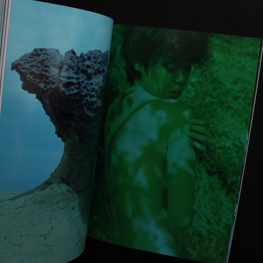 Jubilee - 細倉 真弓 / Mayumi Hosokura