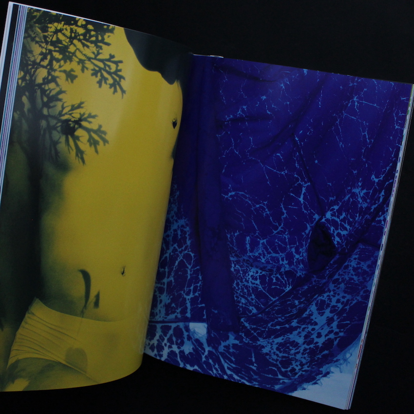 Jubilee - 細倉 真弓 / Mayumi Hosokura