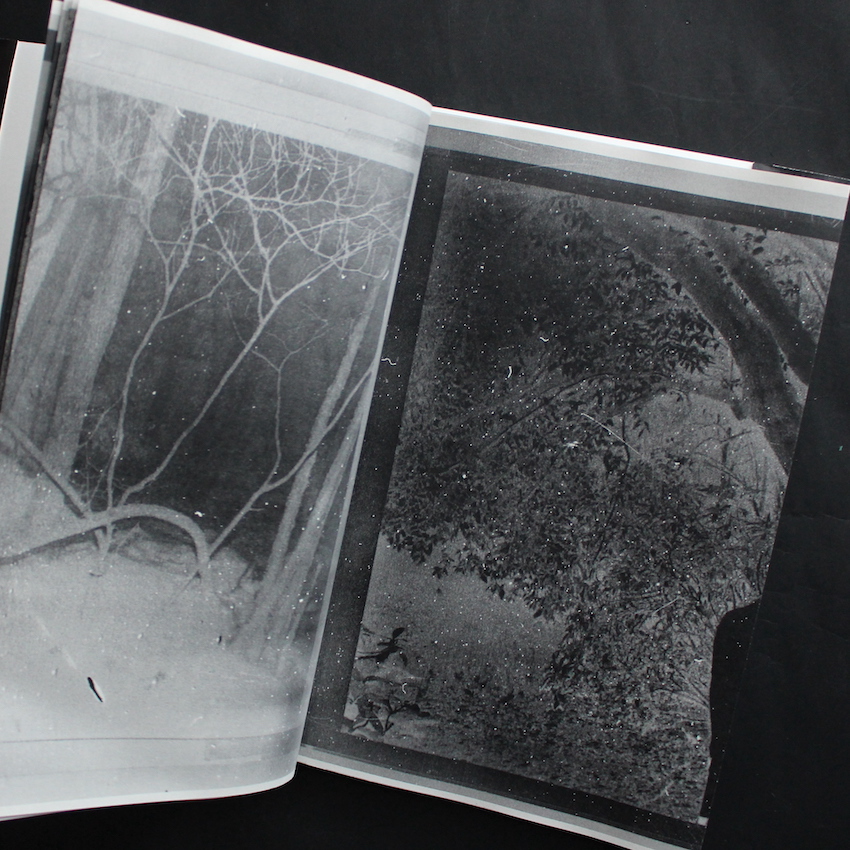 Inversion, Negative（Signed） - 横田 大輔 / Daisuke Yokota