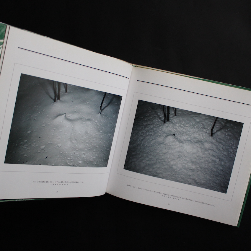 死 / Death in the Nature - 宮崎 学 / Manabu Miyazaki