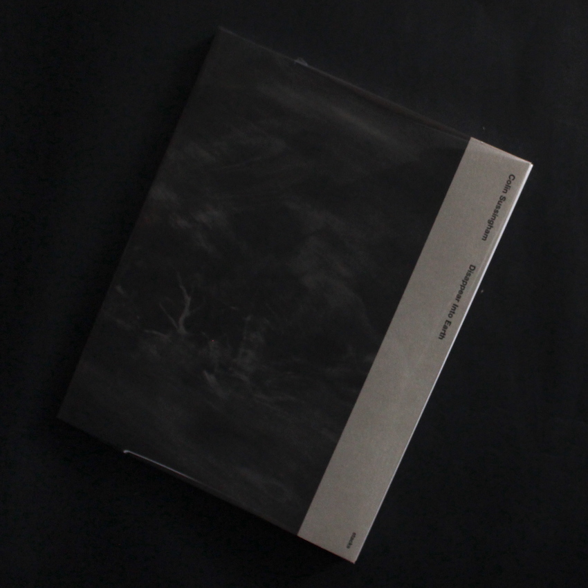 Colin Sussingham / Disappear Into Earth
