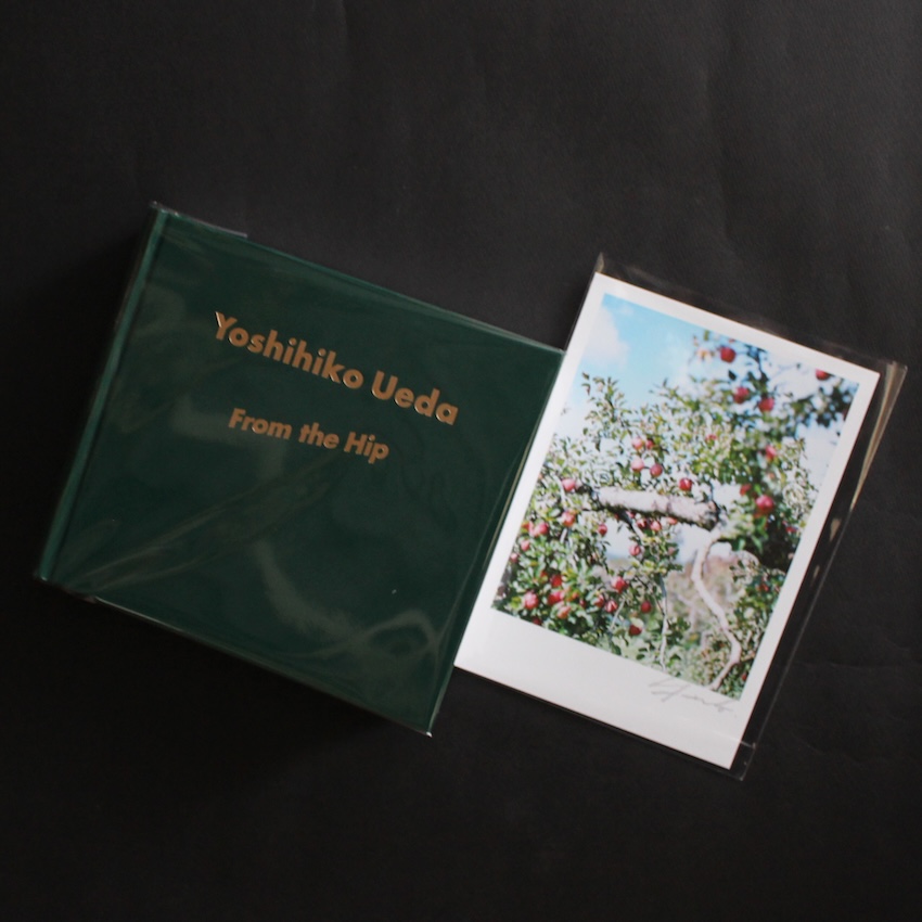 上田　義彦 / Yoshihiko Ueda / いつも世界は遠く、/ From the Hip（Signed Postcard）