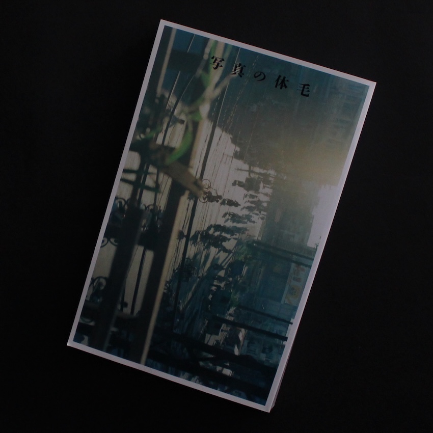 佐内　正史 / Masafumi Sanai / 写真の体毛（Signed）