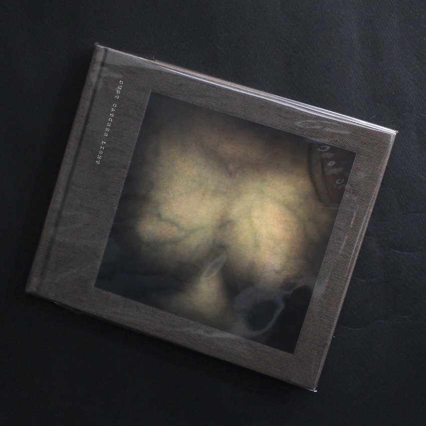 Marie Sjovold / Dust Catches Light（With DVD）