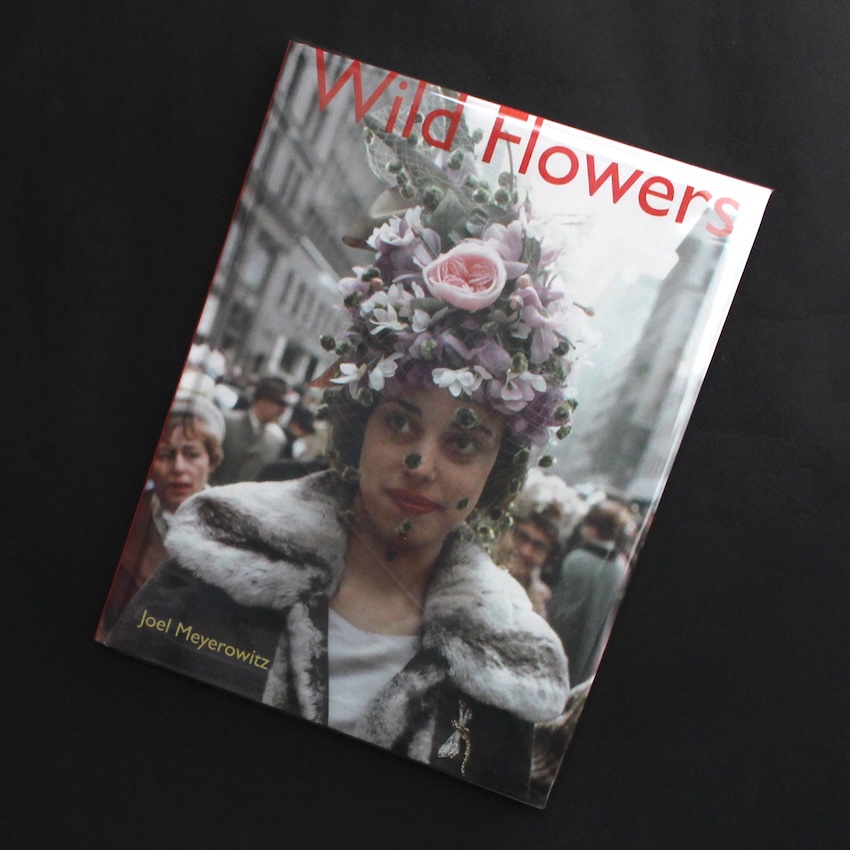 Joel Meyerowitz / Wild Flowers（2021）