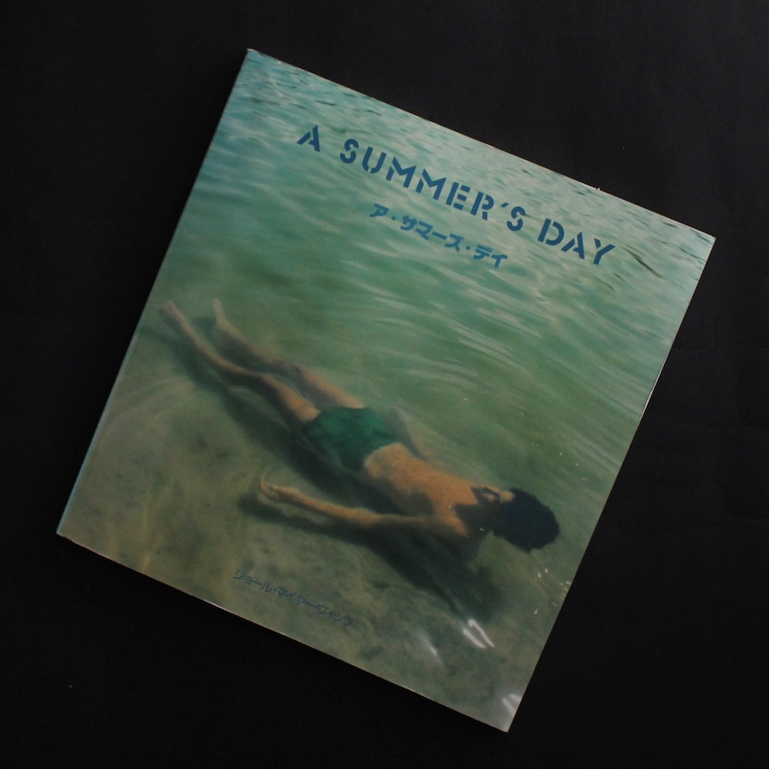 Joel Meyerowitz / A Summer's Day（Softcover）