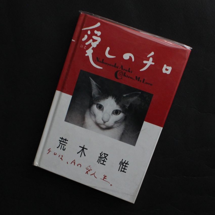 荒木　経惟 / Nobuyoshi Araki / 愛しのチロ / Chiro, My Love（First Edition, Sixth Printing）