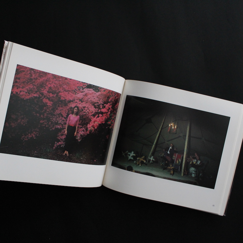 Wild Flowers（First Edition, Softcover） - Joel Meyerowitz
