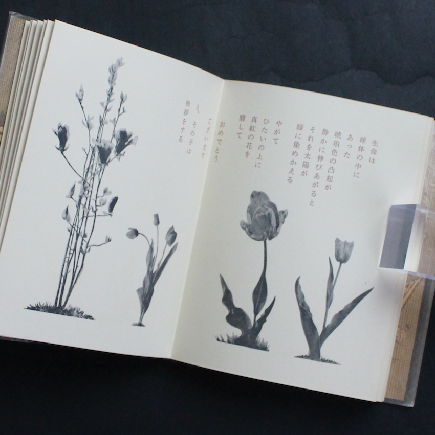 武井武雄 刊本作品 NO 38 SPHERE （スフェール）サイン有 武井武雄