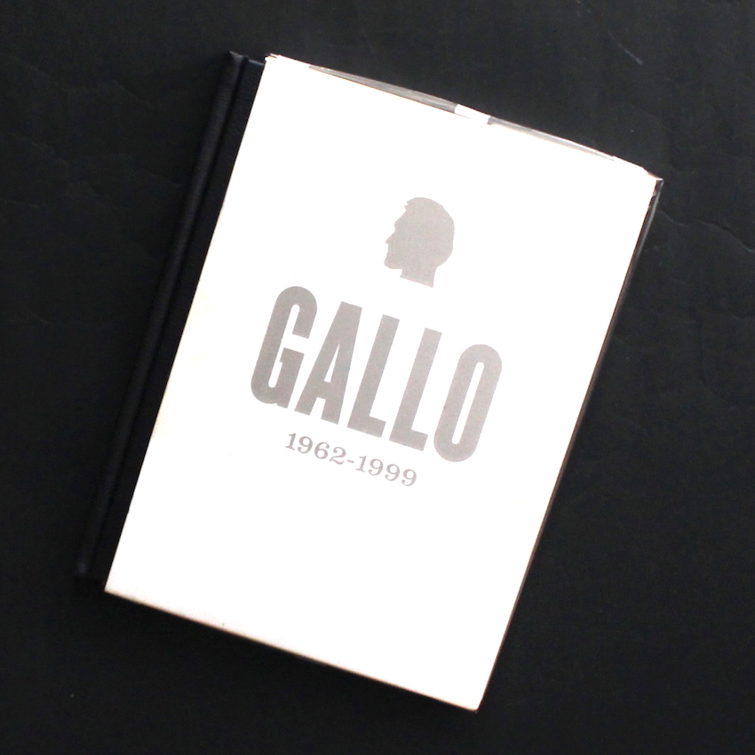 Vincent Gallo 1962-1999 - Vincent Gallo