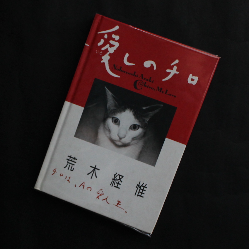 荒木　経惟 / Nobuyoshi Araki / 愛しのチロ / Chiro, My Love（First Edition, First Printing, Signed & Message）