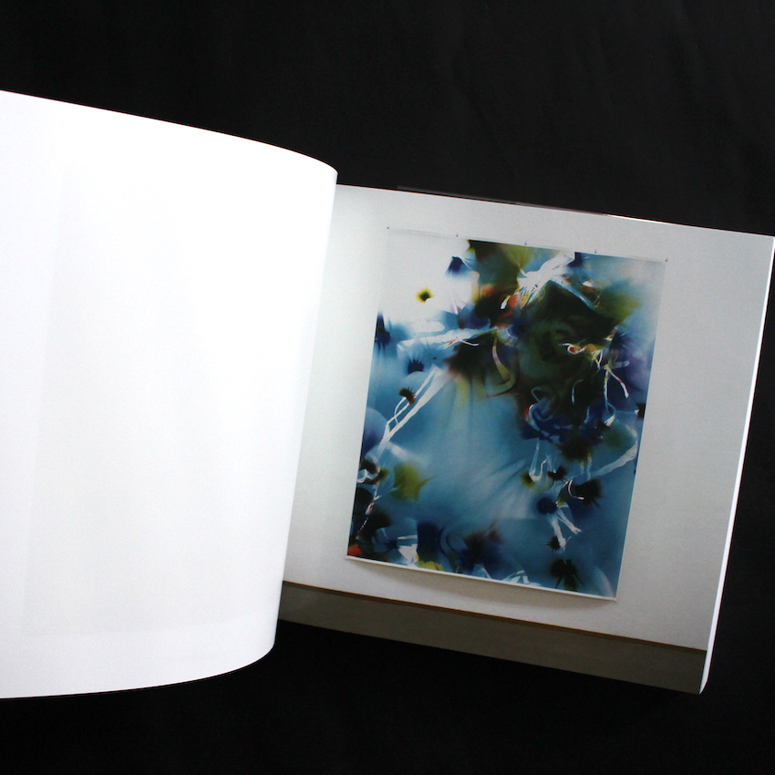 日本で買 ティルマンス tillmans abstract pictures 抽象 写真集 | www