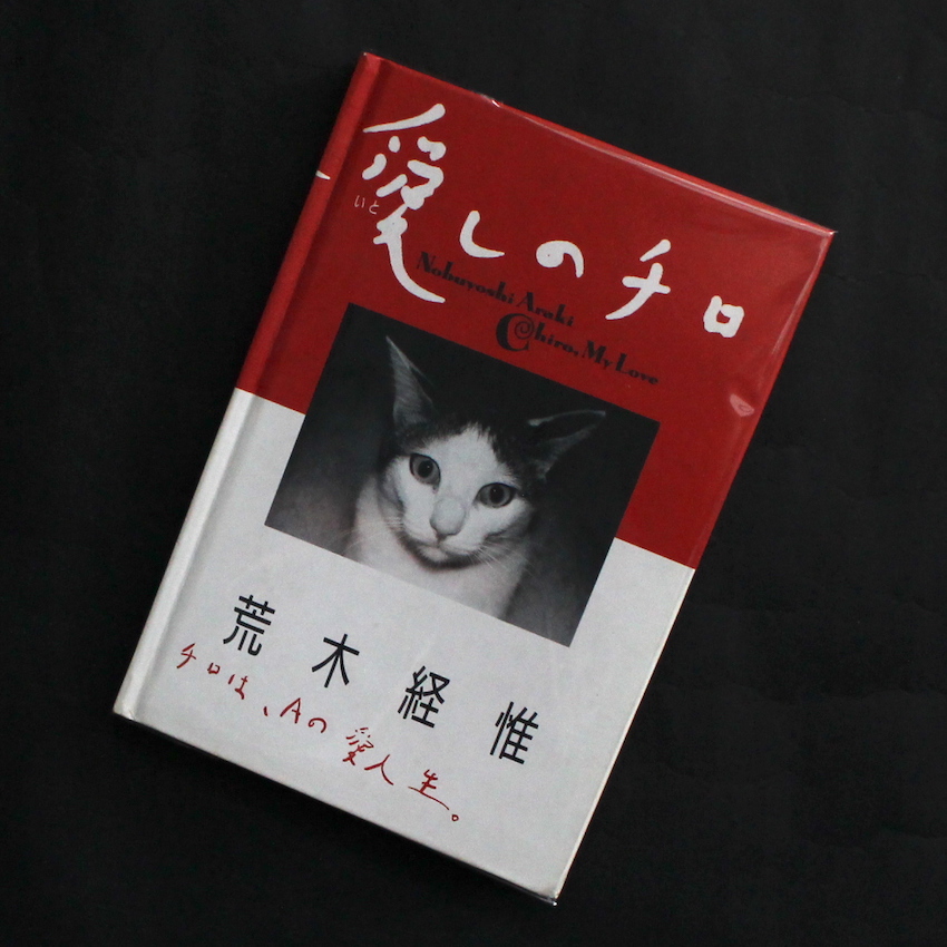 荒木　経惟 / Nobuyoshi Araki / 愛しのチロ / Chiro, My Love（First Edition, First Printing, Signed）