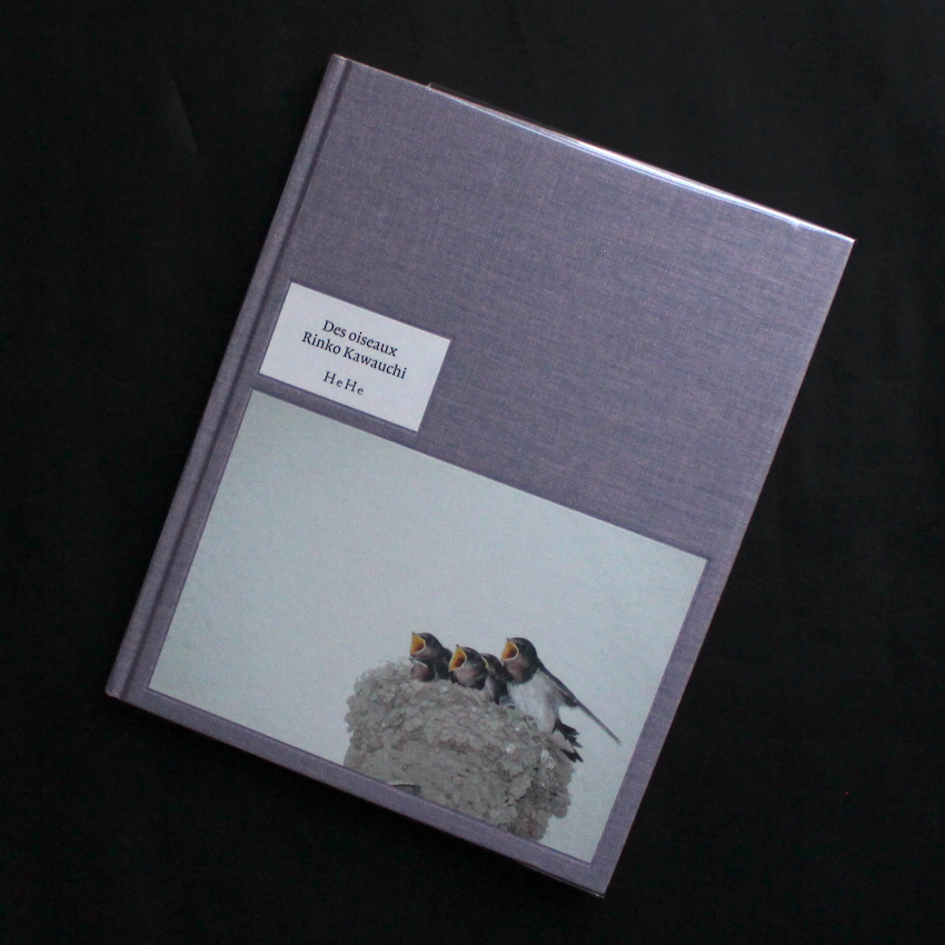 川内　倫子 / Rinko Kawauchi / Des Oiseaux（Japanese Edition）