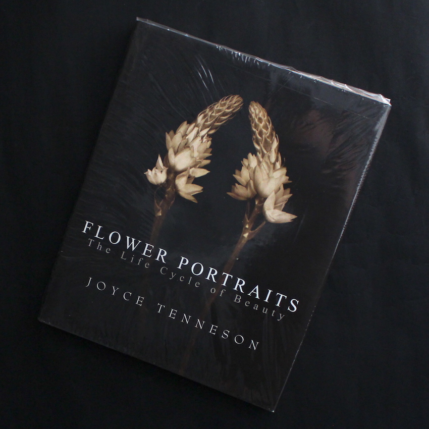 Joyce Tenneson / Flower Portraits    The Life Cycle of Beauty