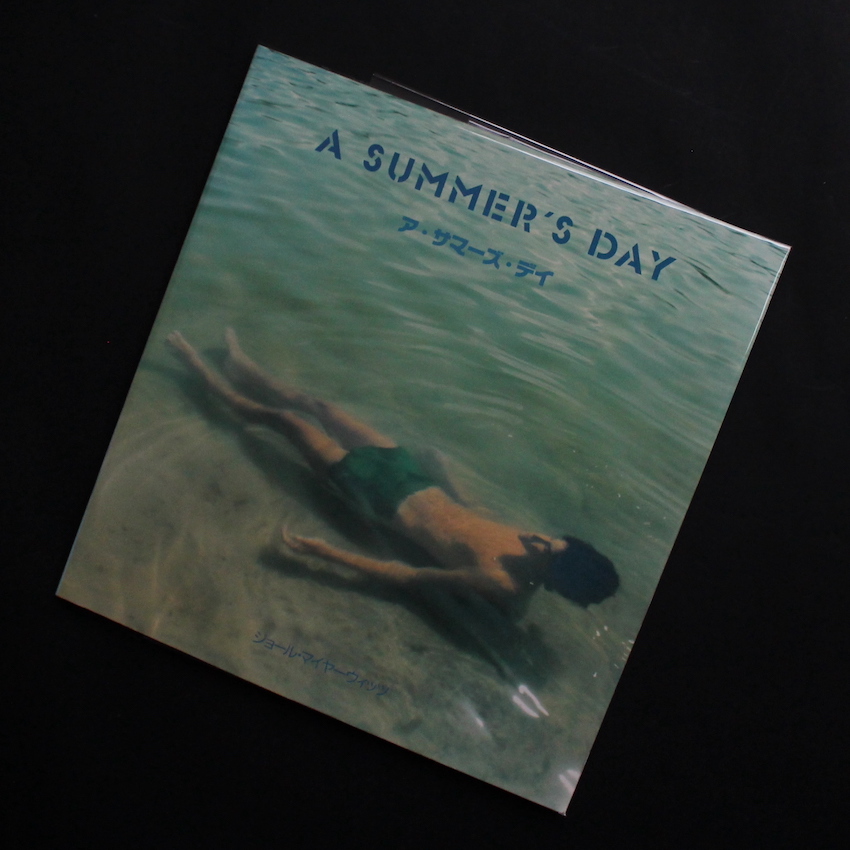 Joel Meyerowitz / A Summer's Day（Softcover）